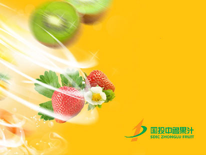 SDIC Zhonglu Juice Enterprise Website Construction and Production