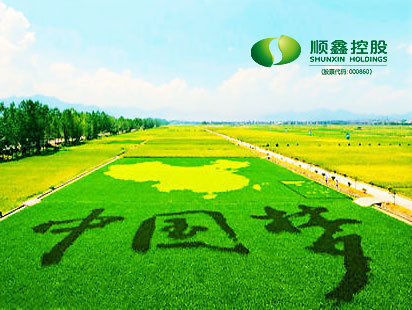 Shunxin Agricultural Enterprise Website Bauplanung